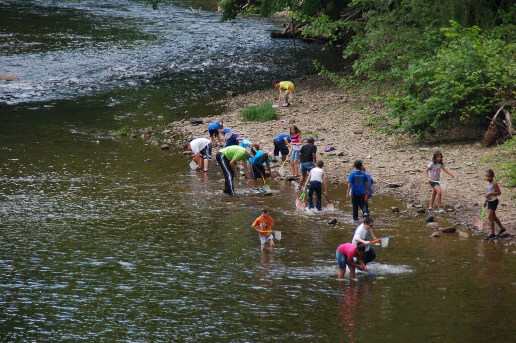 Schoolchildren study aquatic ecology in the creek at Camp Susque's Field Trips.